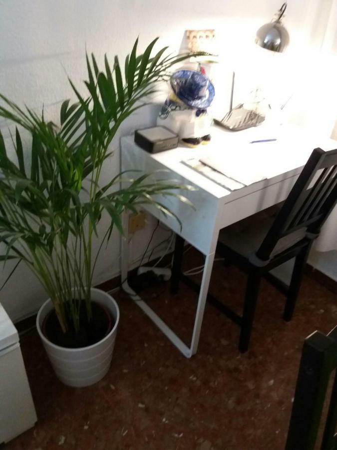 Apartment La Gallega Кордова Экстерьер фото